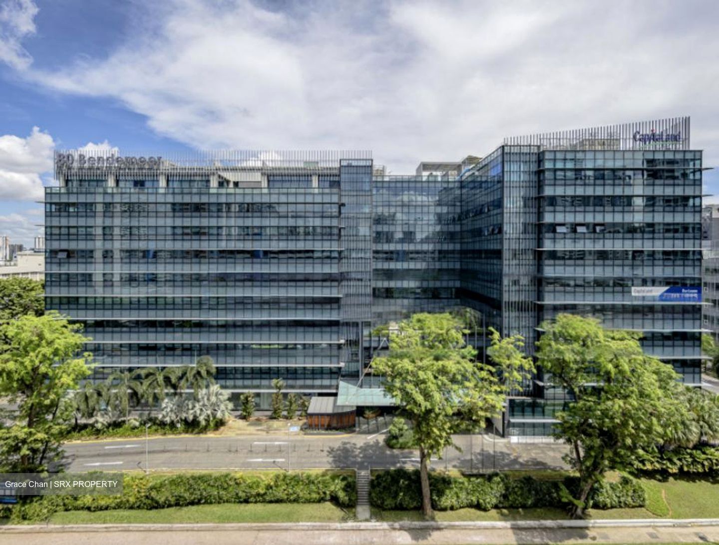 Bendemeer Road (D12), Office #531646871